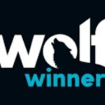 Bank Wire Fees Critique at Wolf Winner Casino Bonus Guide