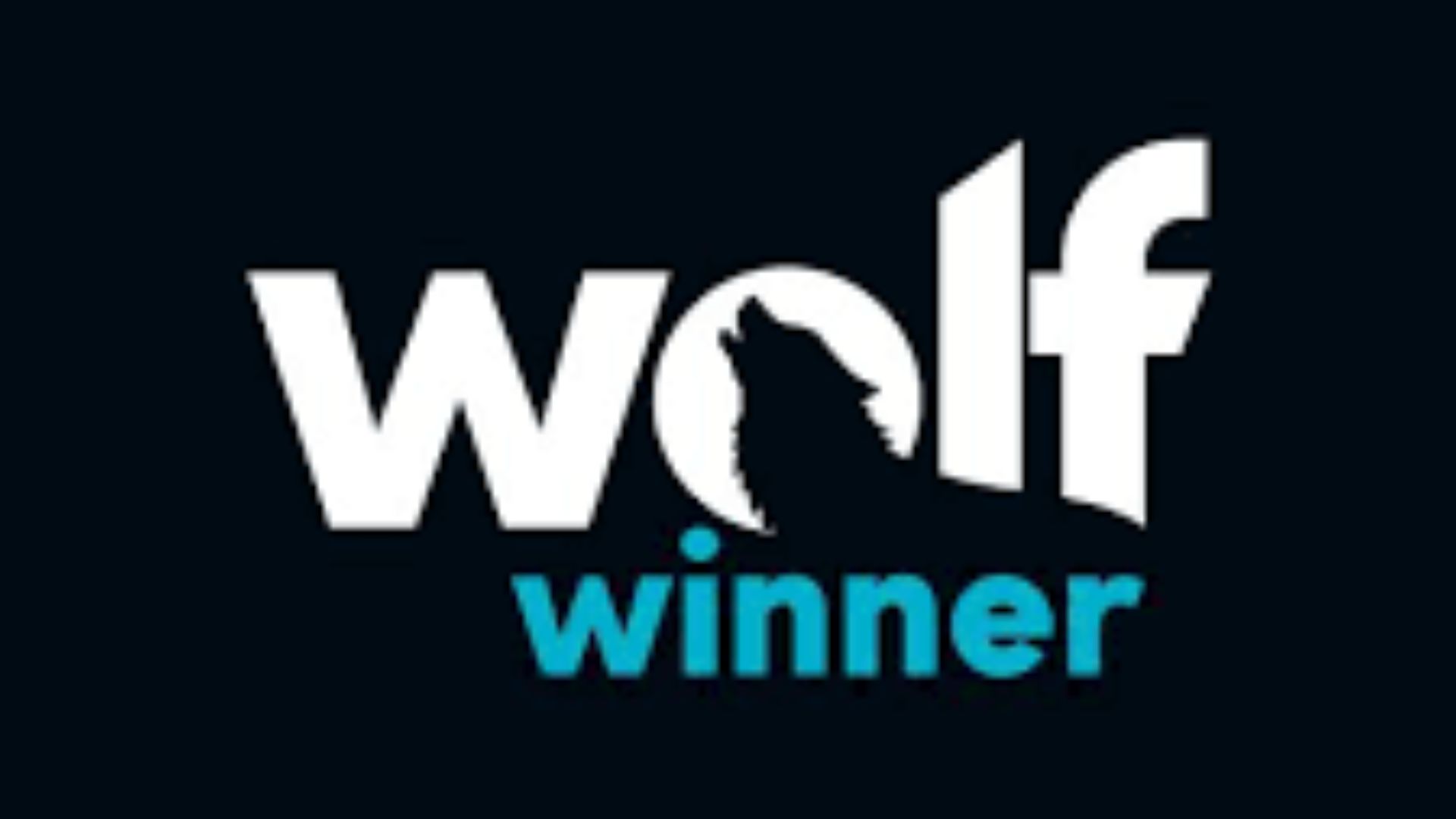 Bank Wire Fees Critique at Wolf Winner Casino Bonus Guide