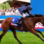 Legal NZ Betting Platforms