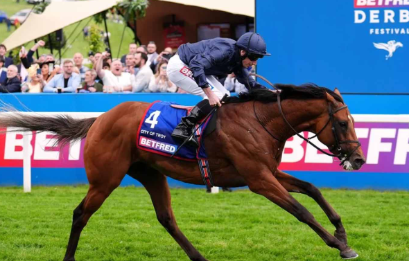 Legal NZ Betting Platforms